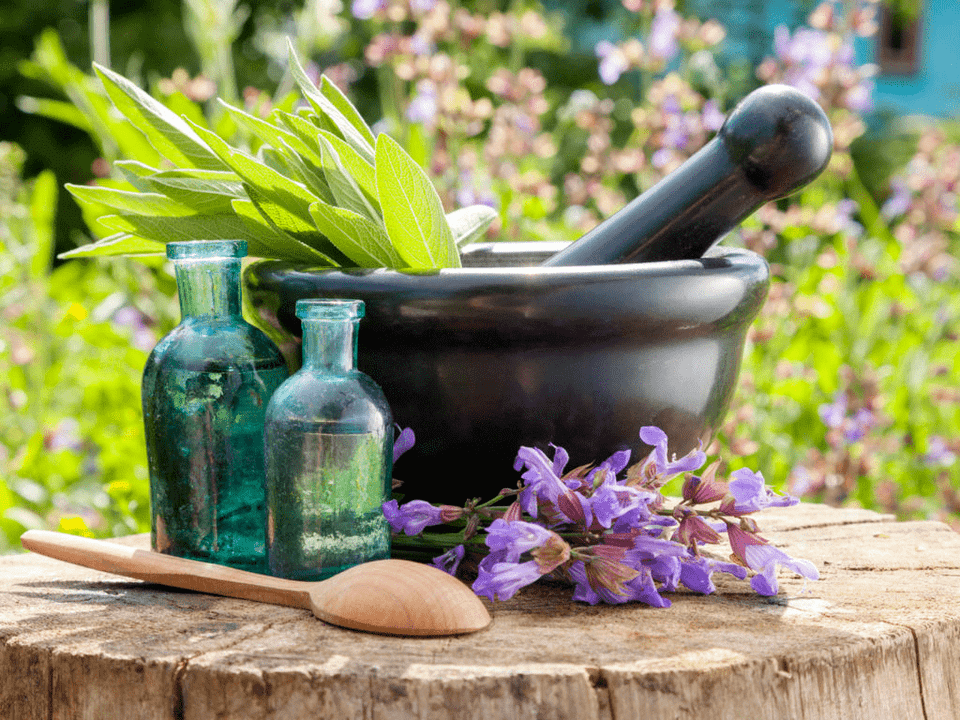 Erbe per bagni curativi per l'osteocondrosi